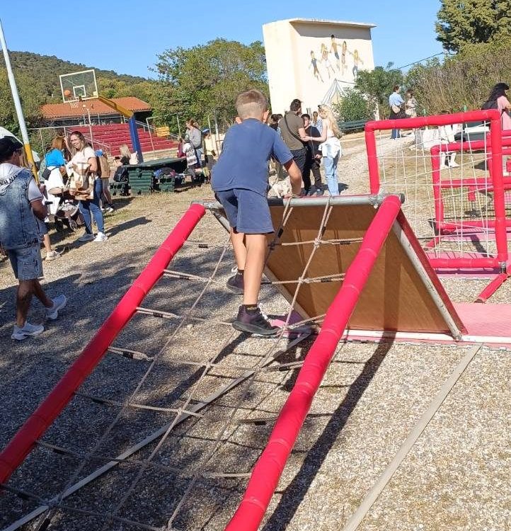 zhse alliws 02